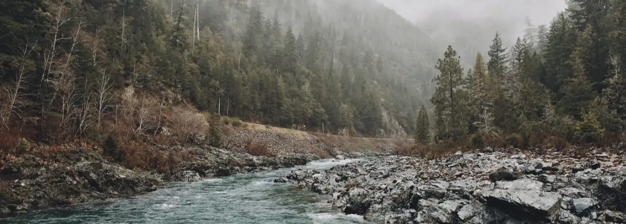 Nature landscape